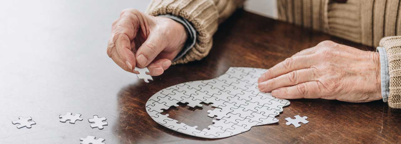 Neue Studie: Positive Effekte von Spermidin auf die Ged&auml;chtnisleistung